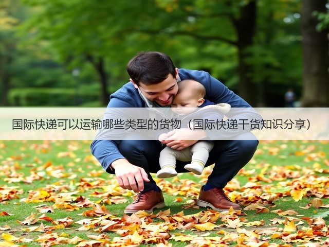 国际快递可以运输哪些类型的货物（国际快递干货知识分享）(图2)