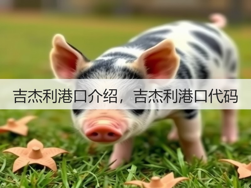 吉杰利港口介绍，吉杰利港口代码