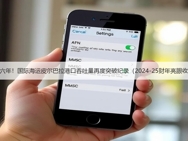 连续六年！国际海运皮尔巴拉港口吞吐量再度突破纪录（2024-25财年亮眼收官）(图3)