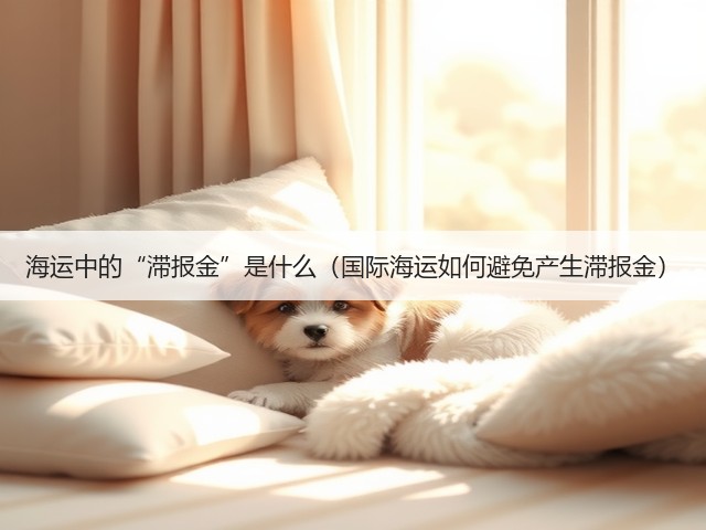 海运中的“滞报金”是什么(国际海运如何避免产生滞报金)(图2) 海运中的“滞报金”是什么(国际海运如何避免产生滞报金)(图2)