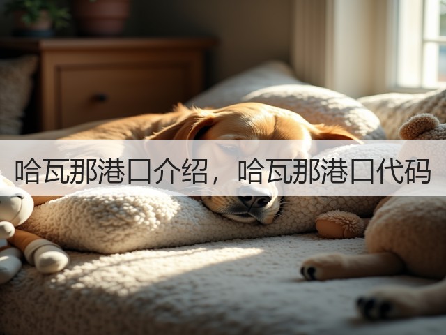 哈瓦那港口介绍，哈瓦那港口代码(图3)