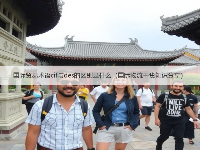 国际贸易术语cif与des的区别是什么(国际物流干货知识分享)(图3) 国际贸易术语cif与des的区别是什么(国际物流干货知识分享)(图3)
