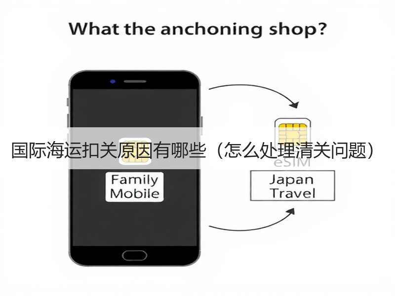 国际海运扣关原因有哪些（怎么处理清关问题）