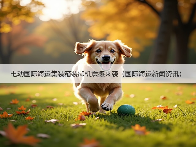 电动国际海运集装箱装卸机震撼来袭(国际海运新闻资讯)(图1) 电动国际海运集装箱装卸机震撼来袭(国际海运新闻资讯)(图1)