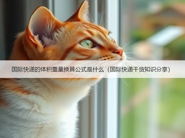 国际快递的体积重量换算公式是什么(国际快递干货知识分享)(图3) 国际快递的体积重量换算公式是什么(国际快递干货知识分享)(图3)