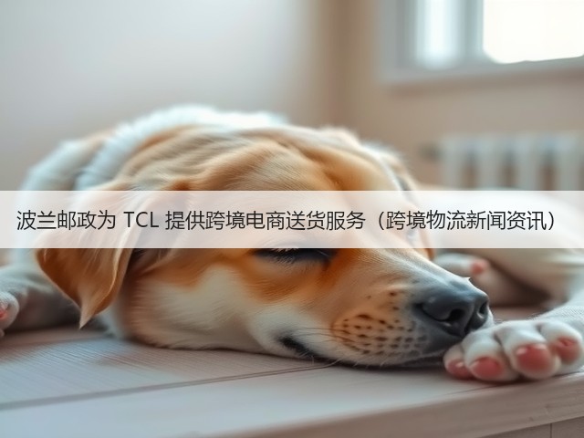 波兰邮政为 TCL 提供跨境电商送货服务(跨境物流新闻资讯)(图1) 波兰邮政为 TCL 提供跨境电商送货服务(跨境物流新闻资讯)(图1)