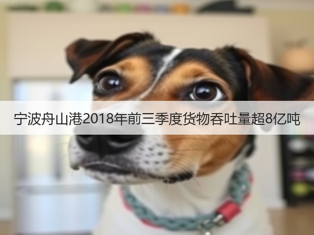 宁波舟山港2018年前三季度货物吞吐量超8亿吨(图1) 宁波舟山港2018年前三季度货物吞吐量超8亿吨(图1)