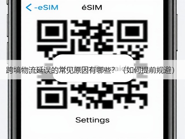 跨境物流延误的常见原因有哪些？（如何提前规避）(图1)