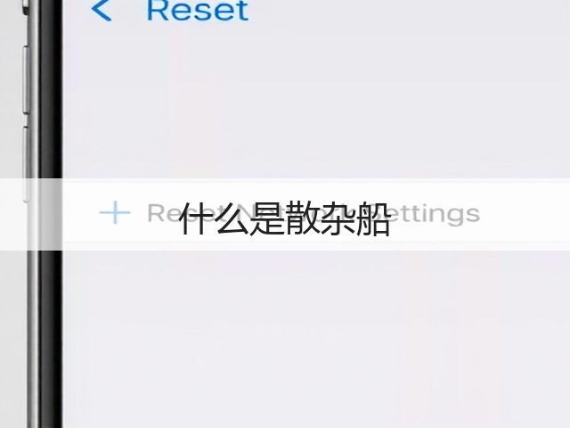 什么是散杂船(图3)