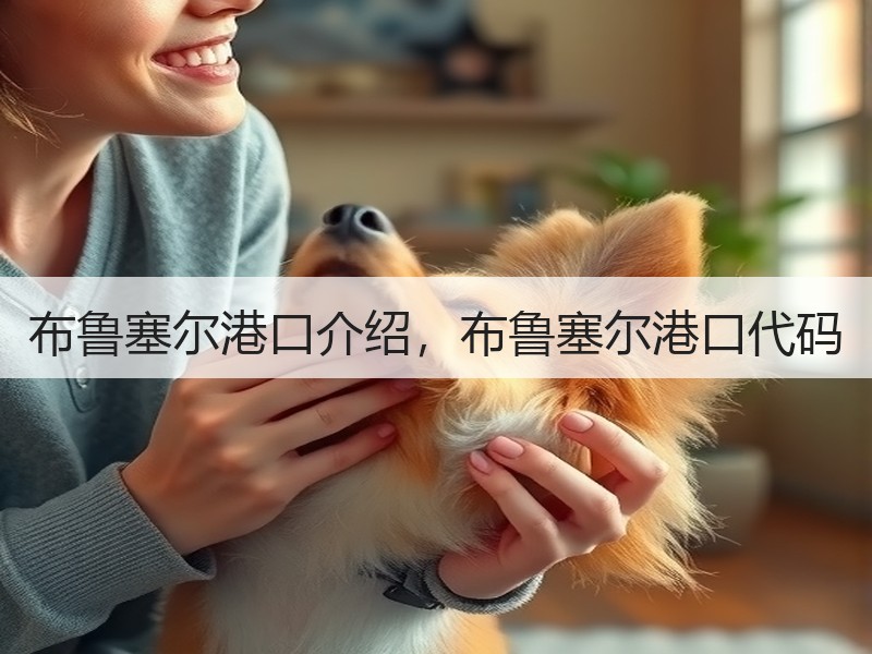 布鲁塞尔港口介绍，布鲁塞尔港口代码