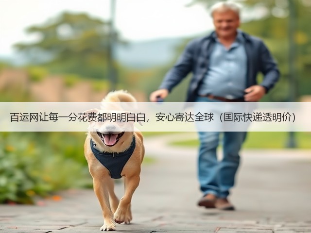 百运网让每一分花费都明明白白,安心寄达全球(国际快递透明价)(图2) 百运网让每一分花费都明明白白,安心寄达全球(国际快递透明价)(图2)