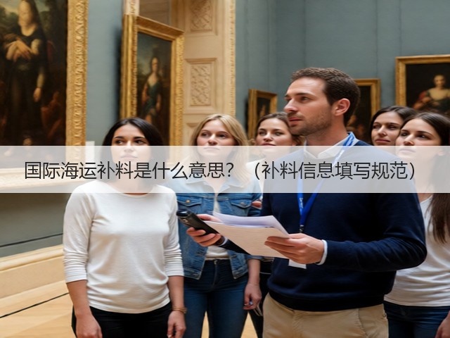 国际海运补料是什么意思？（补料信息填写规范）(图3)
