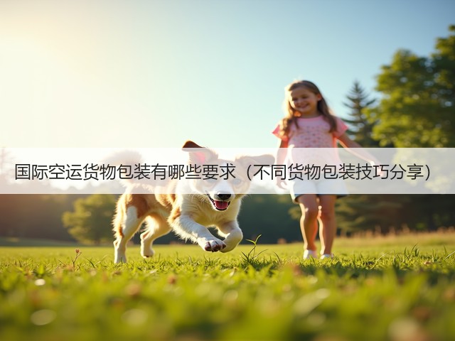 国际空运货物包装有哪些要求(不同货物包装技巧分享)(图2) 国际空运货物包装有哪些要求(不同货物包装技巧分享)(图2)