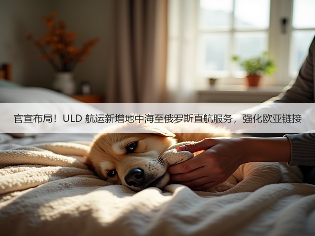 官宣布局!ULD 航运新增地中海至俄罗斯直航服务,强化欧亚链接(图2) 官宣布局!ULD 航运新增地中海至俄罗斯直航服务,强化欧亚链接(图2)
