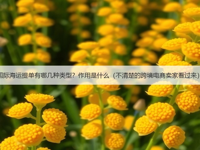 国际海运提单有哪几种类型?作用是什么(不清楚的跨境电商卖家看过来)(图2) 国际海运提单有哪几种类型?作用是什么(不清楚的跨境电商卖家看过来)(图2)