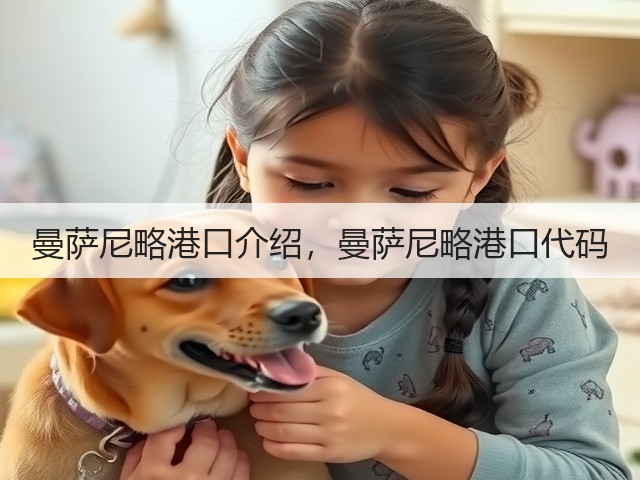 曼萨尼略港口介绍，曼萨尼略港口代码(图3)