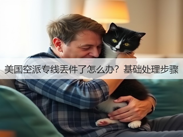 美国空派专线丢件了怎么办?基础处理步骤(图1) 美国空派专线丢件了怎么办?基础处理步骤(图1)