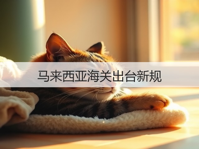 马来西亚海关出台新规(图2)