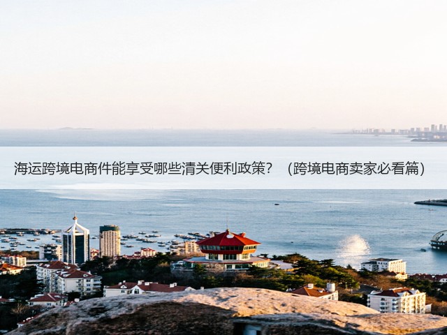海运跨境电商件能享受哪些清关便利政策？（跨境电商卖家必看篇）(图3)