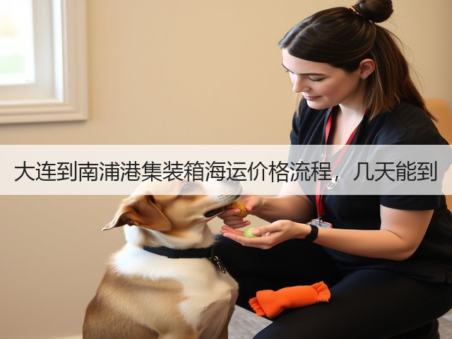 大连到南浦港集装箱海运价格流程,几天能到(图3) 大连到南浦港集装箱海运价格流程,几天能到(图3)