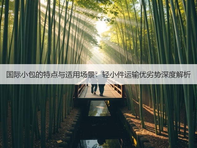 国际小包的特点与适用场景：轻小件运输优劣势深度解析(图3)