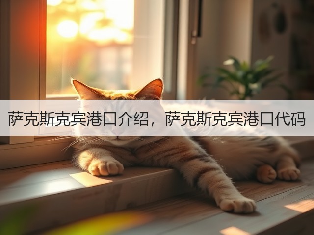 萨克斯克宾港口介绍，萨克斯克宾港口代码(图3)