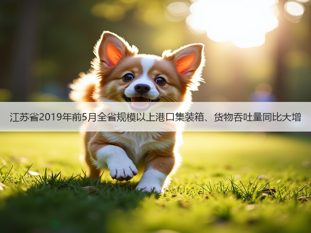 江苏省2019年前5月全省规模以上港口集装箱、货物吞吐量同比大增(图3) 江苏省2019年前5月全省规模以上港口集装箱、货物吞吐量同比大增(图3)