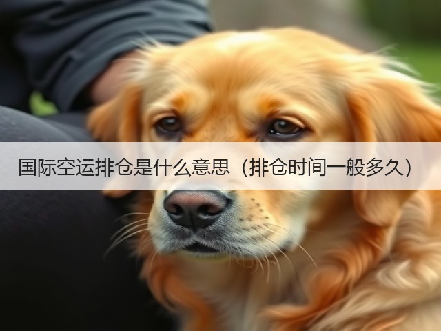 国际空运排仓是什么意思（排仓时间一般多久）(图1)