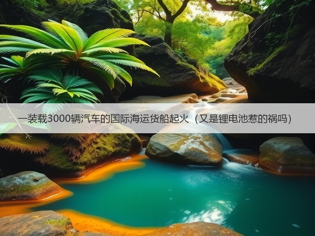 一装载3000辆汽车的国际海运货船起火(又是锂电池惹的祸吗)(图1) 一装载3000辆汽车的国际海运货船起火(又是锂电池惹的祸吗)(图1)