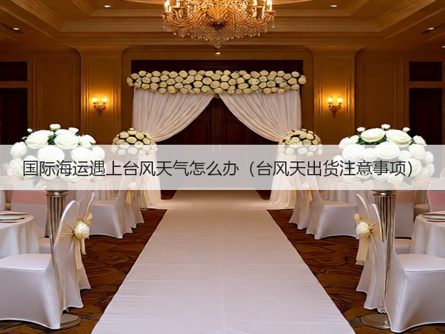 国际海运遇上台风天气怎么办(台风天出货注意事项)(图1) 国际海运遇上台风天气怎么办(台风天出货注意事项)(图1)
