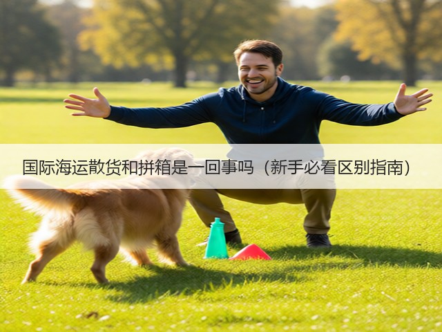 国际海运散货和拼箱是一回事吗（新手必看区别指南）(图1)