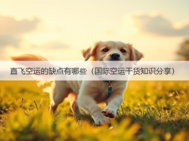 直飞空运的缺点有哪些（国际空运干货知识分享）(图3)