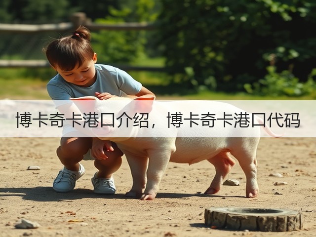 博卡奇卡港口介绍,博卡奇卡港口代码(图3) 博卡奇卡港口介绍,博卡奇卡港口代码(图3)