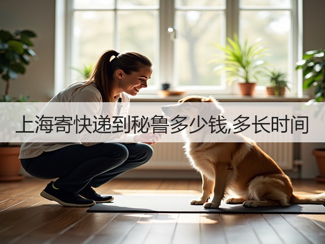 上海寄快递到秘鲁多少钱,多长时间(图3)