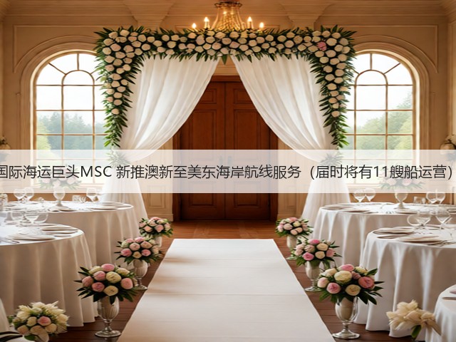 国际海运巨头MSC 新推澳新至美东海岸航线服务（届时将有11艘船运营）(图3)