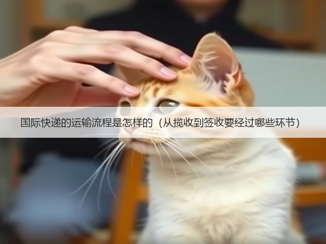 国际快递的运输流程是怎样的(从揽收到签收要经过哪些环节)(图2) 国际快递的运输流程是怎样的(从揽收到签收要经过哪些环节)(图2)