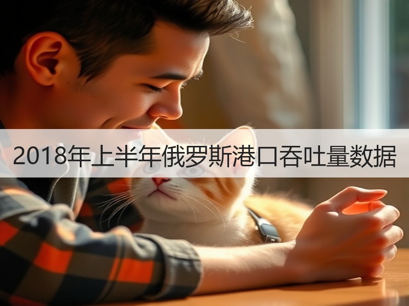 2018年上半年俄罗斯港口吞吐量数据