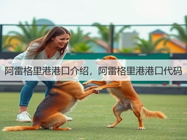 阿雷格里港港口介绍,阿雷格里港港口代码(图3) 阿雷格里港港口介绍,阿雷格里港港口代码(图3)