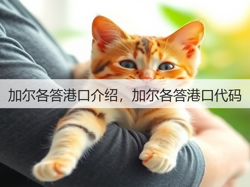 加尔各答港口介绍，加尔各答港口代码