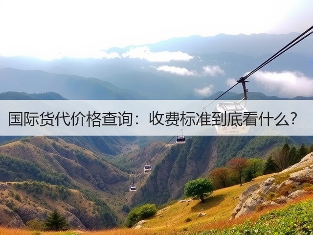 国际货代价格查询：收费标准到底看什么？(图3)