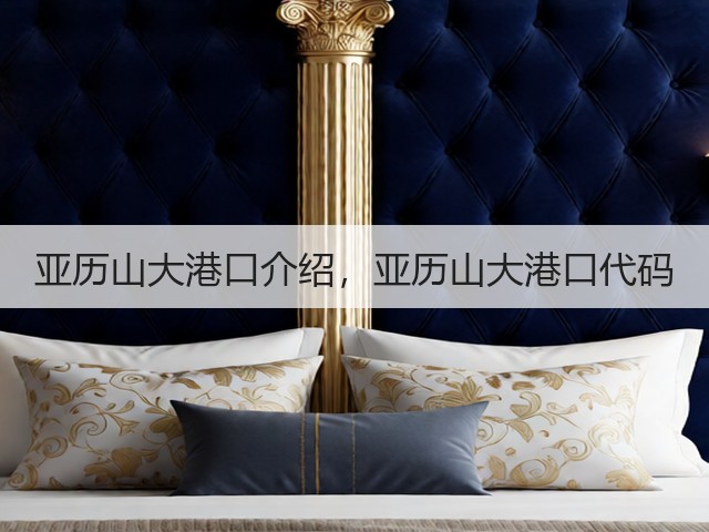 亚历山大港口介绍,亚历山大港口代码(图3) 亚历山大港口介绍,亚历山大港口代码(图3)
