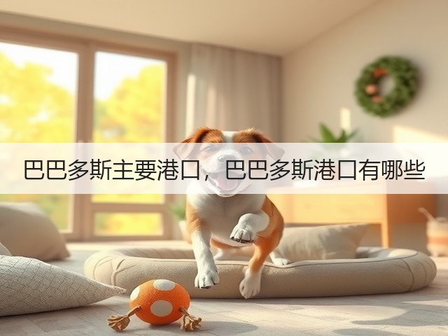 巴巴多斯主要港口,巴巴多斯港口有哪些(图3) 巴巴多斯主要港口,巴巴多斯港口有哪些(图3)