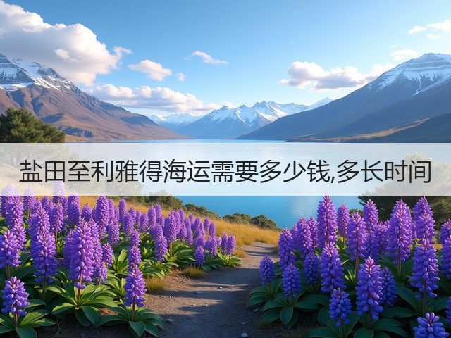 盐田至利雅得海运需要多少钱,多长时间(图3) 盐田至利雅得海运需要多少钱,多长时间(图3)
