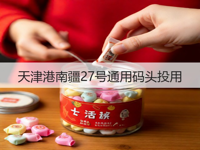 天津港南疆27号通用码头投用(图3)