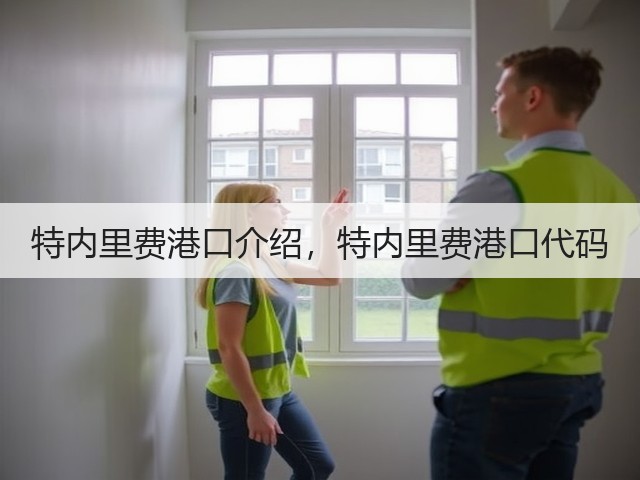 特内里费港口介绍，特内里费港口代码(图1)