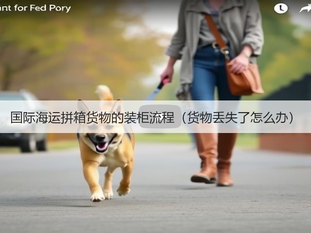 国际海运拼箱货物的装柜流程(货物丢失了怎么办)(图1) 国际海运拼箱货物的装柜流程(货物丢失了怎么办)(图1)