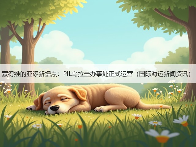 蒙得维的亚添新据点:PIL乌拉圭办事处正式运营(国际海运新闻资讯)(图2) 蒙得维的亚添新据点:PIL乌拉圭办事处正式运营(国际海运新闻资讯)(图2)