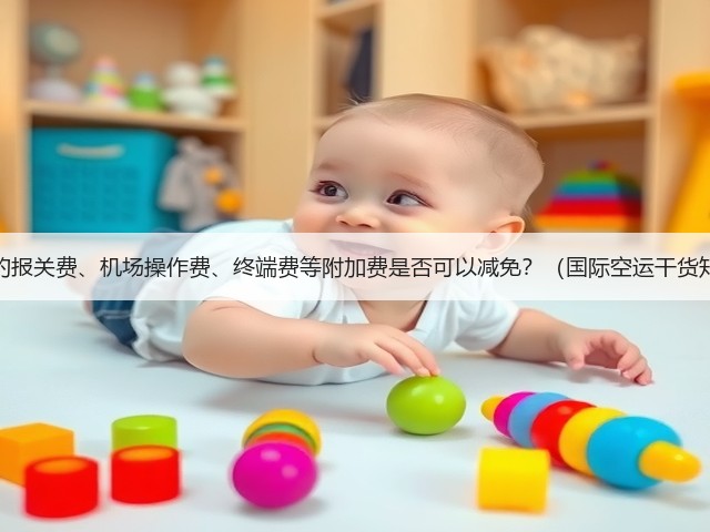国际空运的报关费、机场操作费、终端费等附加费是否可以减免?(国际空运干货知识分享)(图1) 国际空运的报关费、机场操作费、终端费等附加费是否可以减免?(国际空运干货知识分享)(图1)