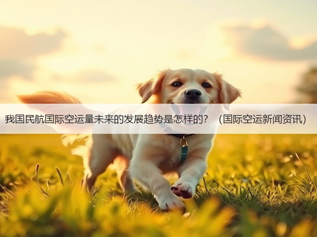 我国民航国际空运量未来的发展趋势是怎样的?(国际空运新闻资讯)(图3) 我国民航国际空运量未来的发展趋势是怎样的?(国际空运新闻资讯)(图3)