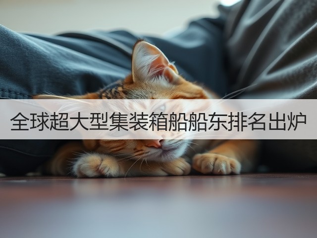 全球超大型集装箱船船东排名出炉(图3)